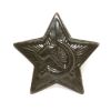 Odznak RUSKÝ zelená hvězda