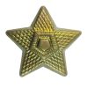 Odznak ČSLA hvězda zlatá