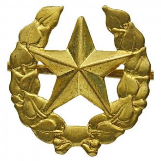 Odznak ČSLA vševojskový zlatý